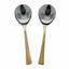 Serving Spoons Set of 2 for Dinner - ware