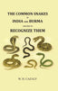The Common Snakes of India and Burma and how to Recognize them - Gyan Books