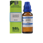 SBL Homeopathy Caladium Seguinum Dilution