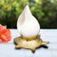 Shank with Brass Stand: Harmonize Your Pooja Rituals