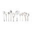 Stainless Steel Cooking and Serving Spoon - Set of 10