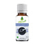 Oilcure Kalonji Oil Cold Pressed