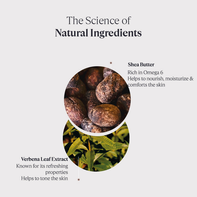 L'Occitane Shea Butter Hands & Body Verbena Lotion For Dry To Very Dry Skin