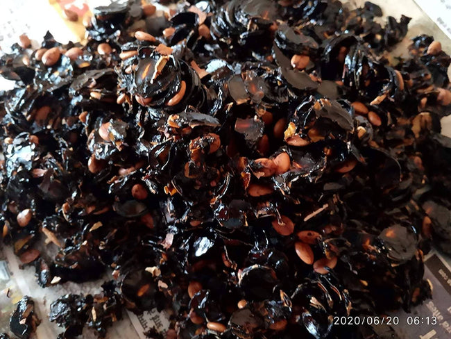 Amaltaas Pulp - Cassia Fistula Pulp Hover Image