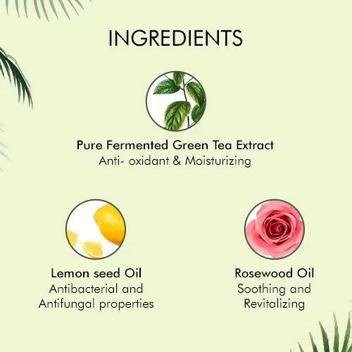 Tonymoly The Chok Chok Green Tea Watery Lotion - Korean Skincare Main Image