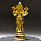 Venkatramana Statue - Connect with Sacred Blessings