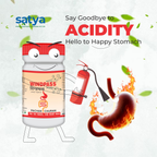 Satya Pharmaceuticals Ayurveda Windpass Pachak Churan