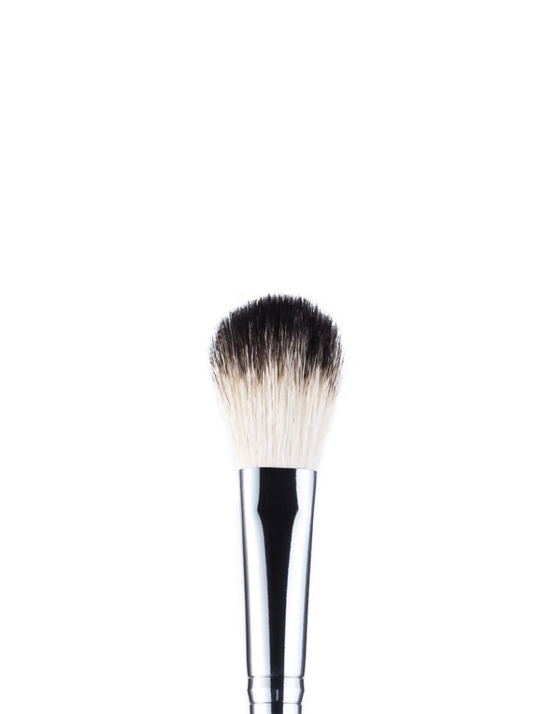 Anastasia Beverly Hills Brush A23