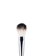 Anastasia Beverly Hills Brush A23