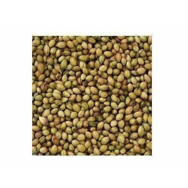 Coriander / Dhania Seeds Main Image