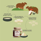 Two Brothers Organic Farms A2 Gir Cow Colostrum Powder