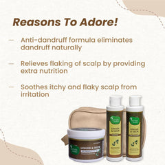 Mother Sparsh Ginger & Neem Anti-Dandruff Kit