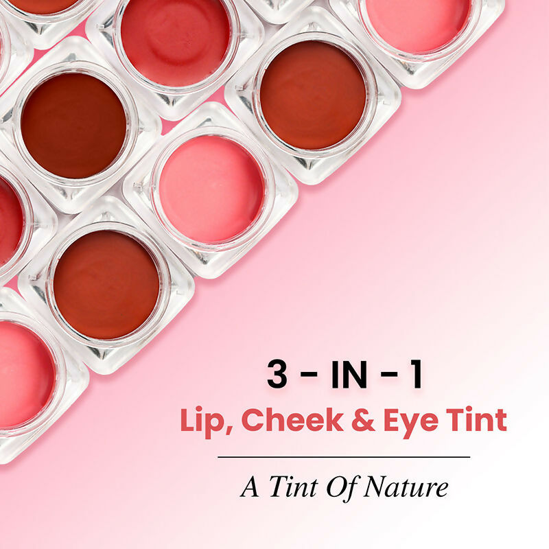 The Skin Story 100% Natural Lip Cheek Eye Tint Ayurvedic Hibiscus Moisturizing Glow - Pretty Pink