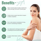 Bioexotica Body Lotion With Seven herbs For 24 hours Moisture Lock