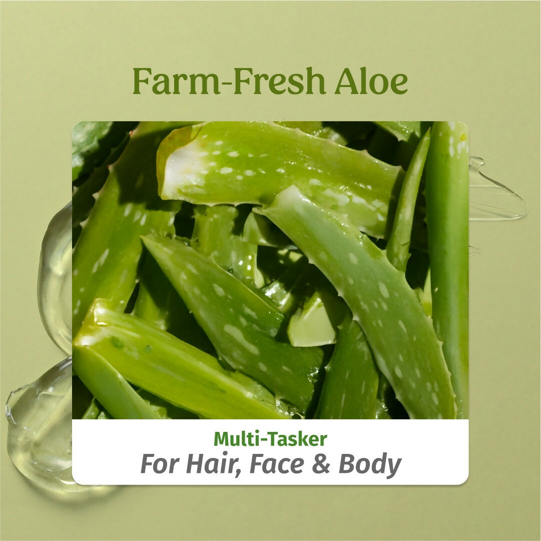 Vilvah Store Aloe Vera Gel (Multi-Purpose Skin & Hair Care)
