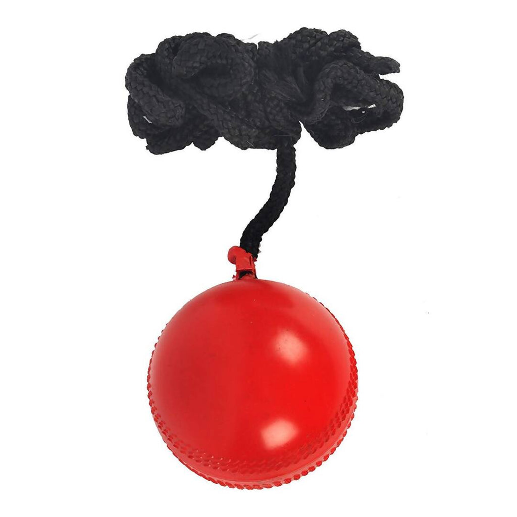 SG Iball Synthetic Hanging Ball - Red