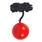 SG Iball Synthetic Hanging Ball - Red