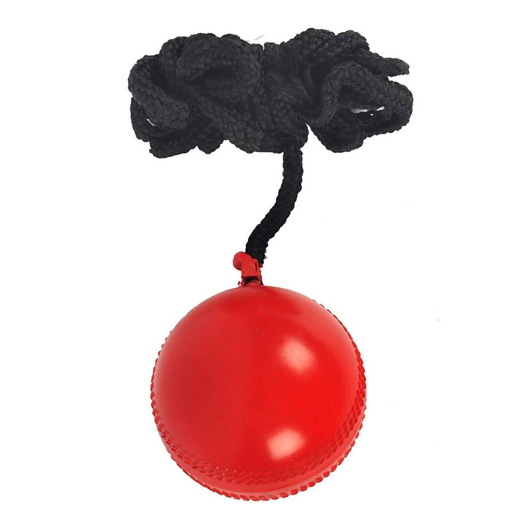 SG Iball Synthetic Hanging Ball - Red