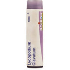 Boiron Homeopathy Lycopodium Clavatum
