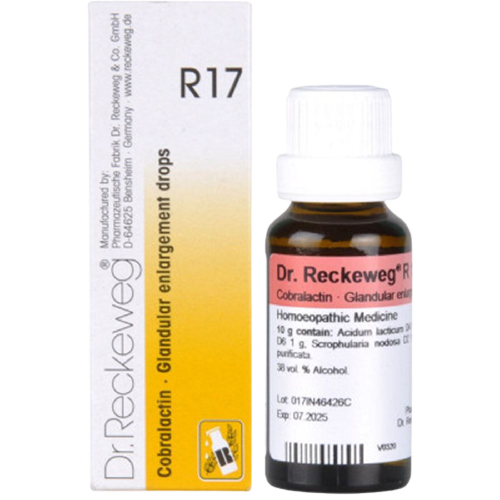 Dr. Reckeweg R17 Glandular enlargement Drops Hover Image
