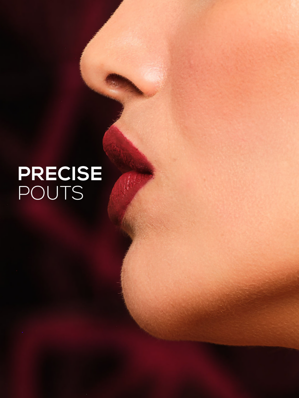 Chambor Extreme Wear Transferproof Lip Liner - Penelope