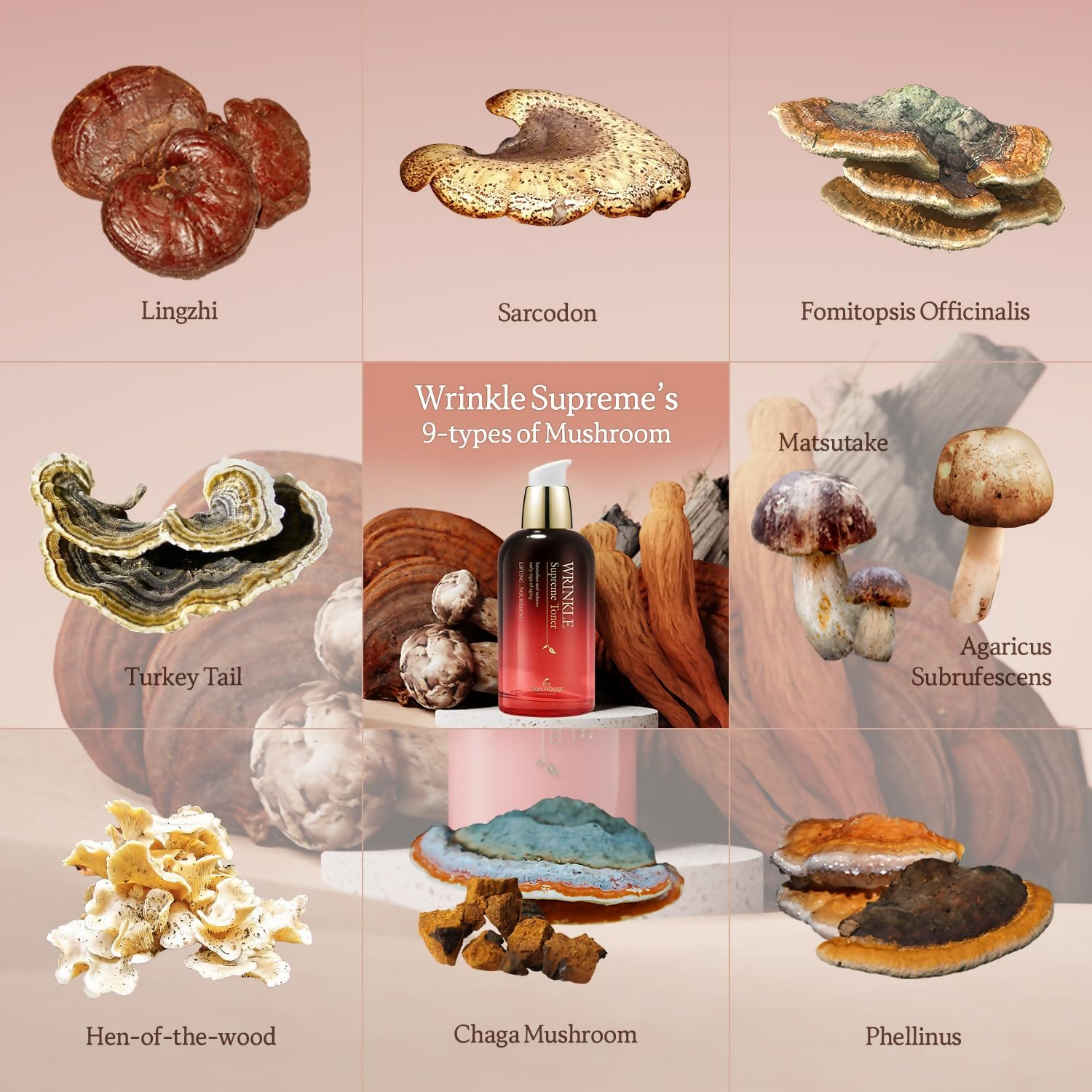 The Skin House Wrinkle Supreme Toner