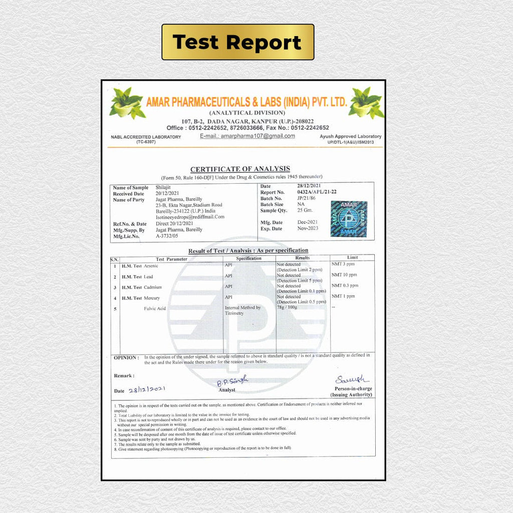Jagat Pharma Himalayan Sj Gold Plus Resin 20g -For Strength Power Stamina