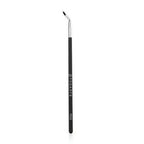 Proarte 2 in 1 Angled Eye & Lip Brush PE-59