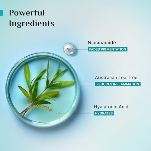 Pilgrim Tea Tree & 2% Niacinamide Face Toner For Oily Skin, Acne & Blemish Prone Skin, Pore Cleansing & Glowing Skin