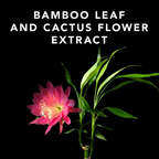 Sebastian Professional Volupt Spray For Extra Body And Volume