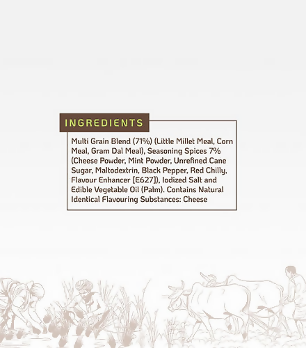 Vasudha Nurtured By Nature Cheese Mint Masala Baked Crisps