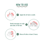 Avimee Herbal Anti Hairfall Kit - Oil, Cleanser and Scalp Spray, Controls Hair Fall and Strengthens Hair Root, With Rosemary, Amla, Methi & Bhringraj