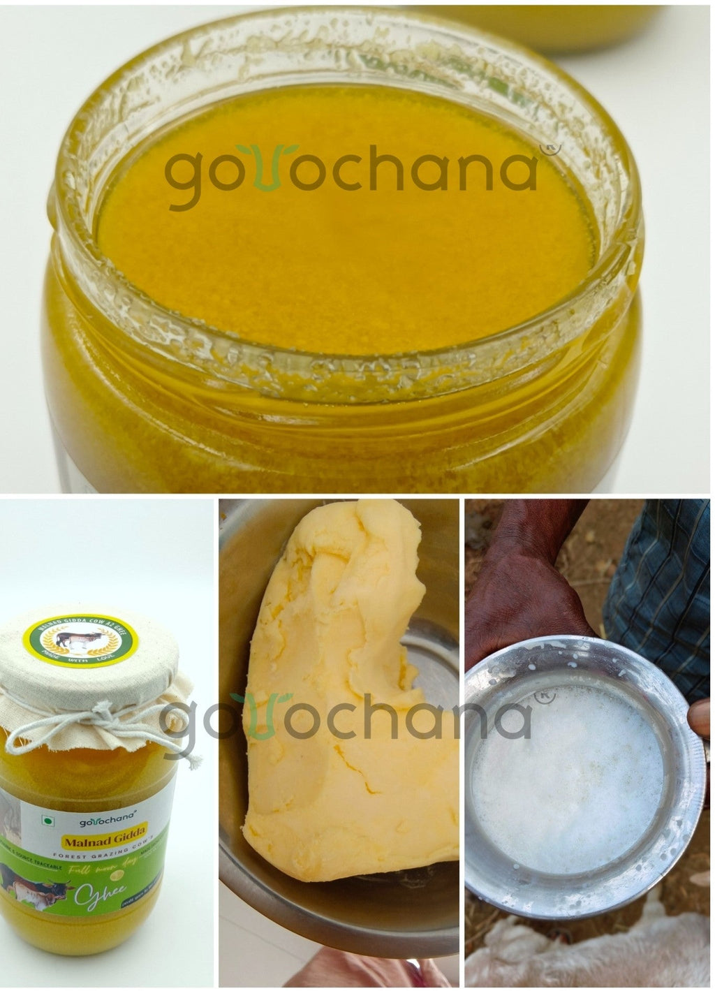 Gorochana 100% Source Traceable Desi Malnad Gidda A2 Full Moon Day Bilona Cow Ghee | Pure Ghee | Organic Ghee - Limited Time Offer