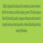 Biotique Advanced Ayurveda Bio Basil & Parsley Revitalizing Body Soap