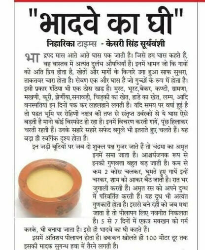 Gavyamart Bhadwa Ghee (Bhadrapad)