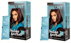 BBLUNT Shine Creme Hair Color Honey Brown 5.32 with Shine Tonic 108g