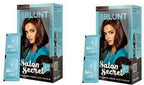Bblunt High Shine Hair Color Chocolate Brown 100g with Shine Tonic