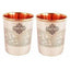 Embossed Design Steel Copper Glass Tumbler (250ml) - Set of 2