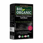 INDUS VALLEY 100% Organic Henna Hair Color (Soft Black)-100 g Pack of 1