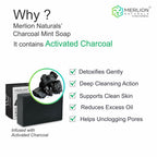 Merlion Naturals Charcoal & Mint Glycerine Soap