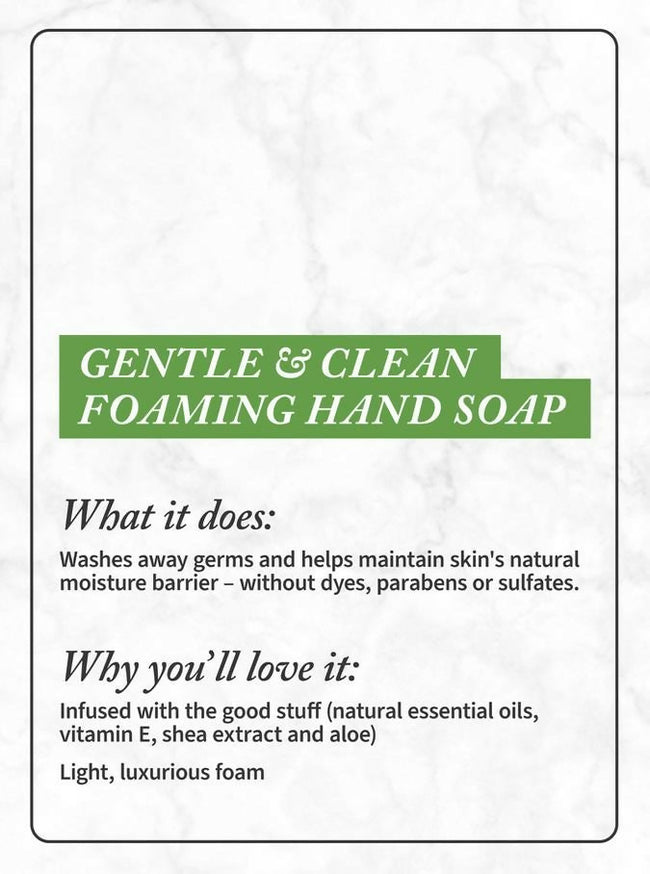 Bath & Body Works Champagne Toast Gentle & Clean Foaming Hand Soap Main Image