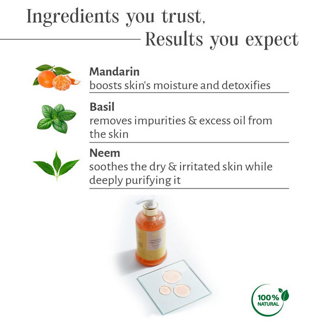 Shankara by Sri Sri Tattva Hydrating Hand Wash Main Image