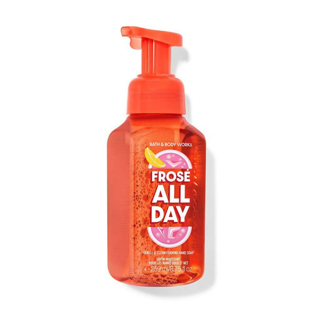 Bath & Body Works Fros & Eacute All Day Gentle & Clean Foaming Hand Soap