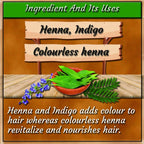 INDUS VALLEY 100% Organic Henna Hair Color (Soft Black)-100 g Pack of 1