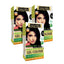 Indus Valley Natural Gel Hair Color Dark Brown 65ml Ammonia & PPD Free