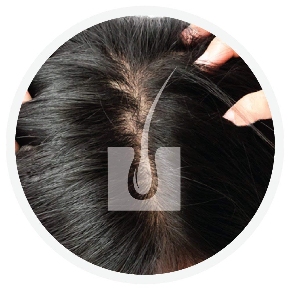 Vegetal Safe Hair Color Organic Soft Black Hair Color 100g Ammonia-Free for Men & Women