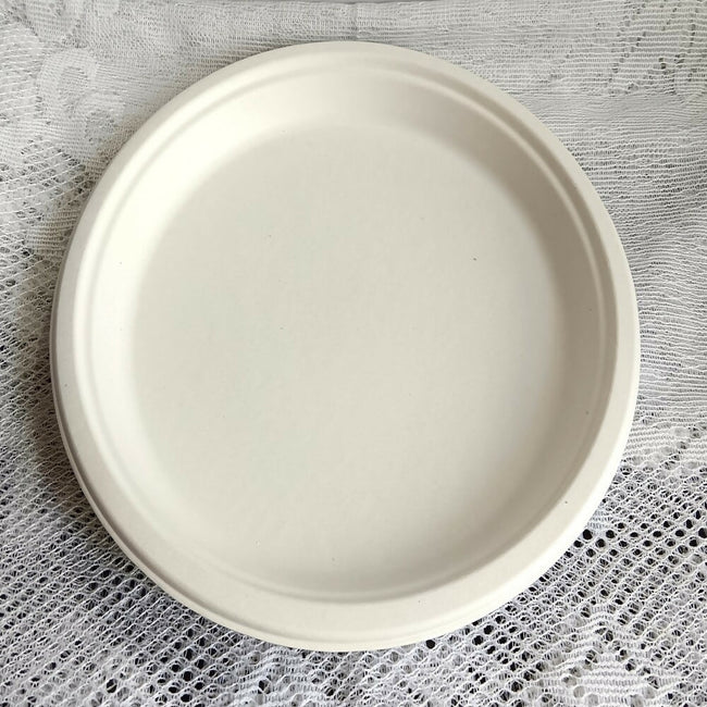Disposable Round Plane Plates Big Main Image
