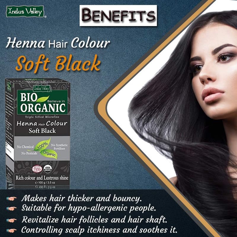 INDUS VALLEY 100% Organic Henna Hair Color (Soft Black)-100 g Pack of 1