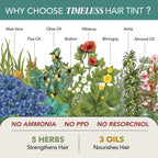 Paradyes Dark Brown Permanent Hair Color, Grey Coverage, No PPD or Ammonia