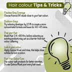 Naturtint 4N Medium Brown Hair Color Gel, Vegan, Ammonia-Free, Grey Coverage